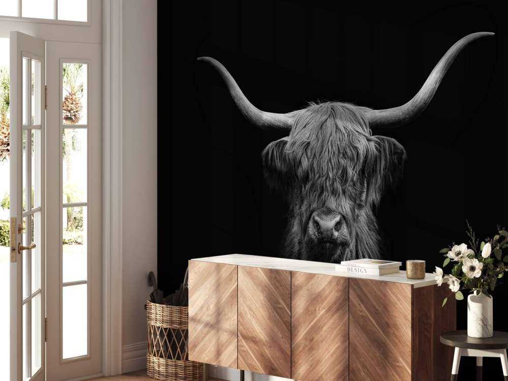 Czarno-biała szkocka rasa wyżynna