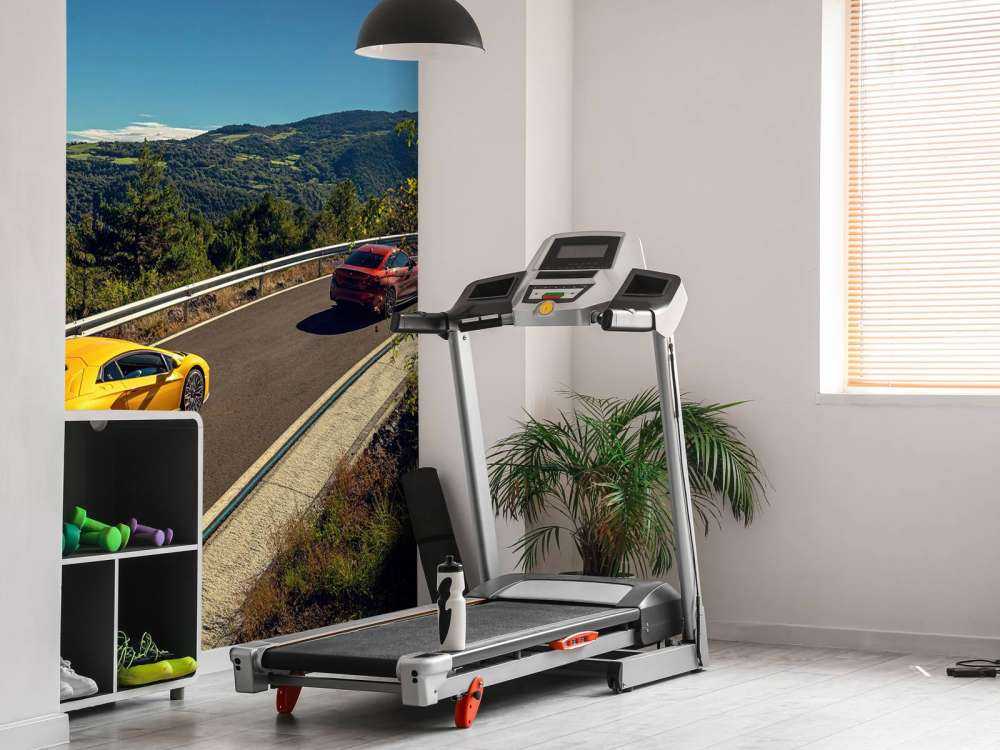 Szybkie zakręty, potężne silniki