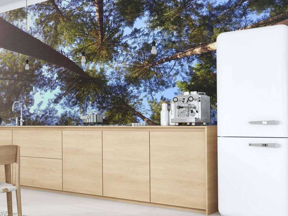 Wysokie drzewa iglaste