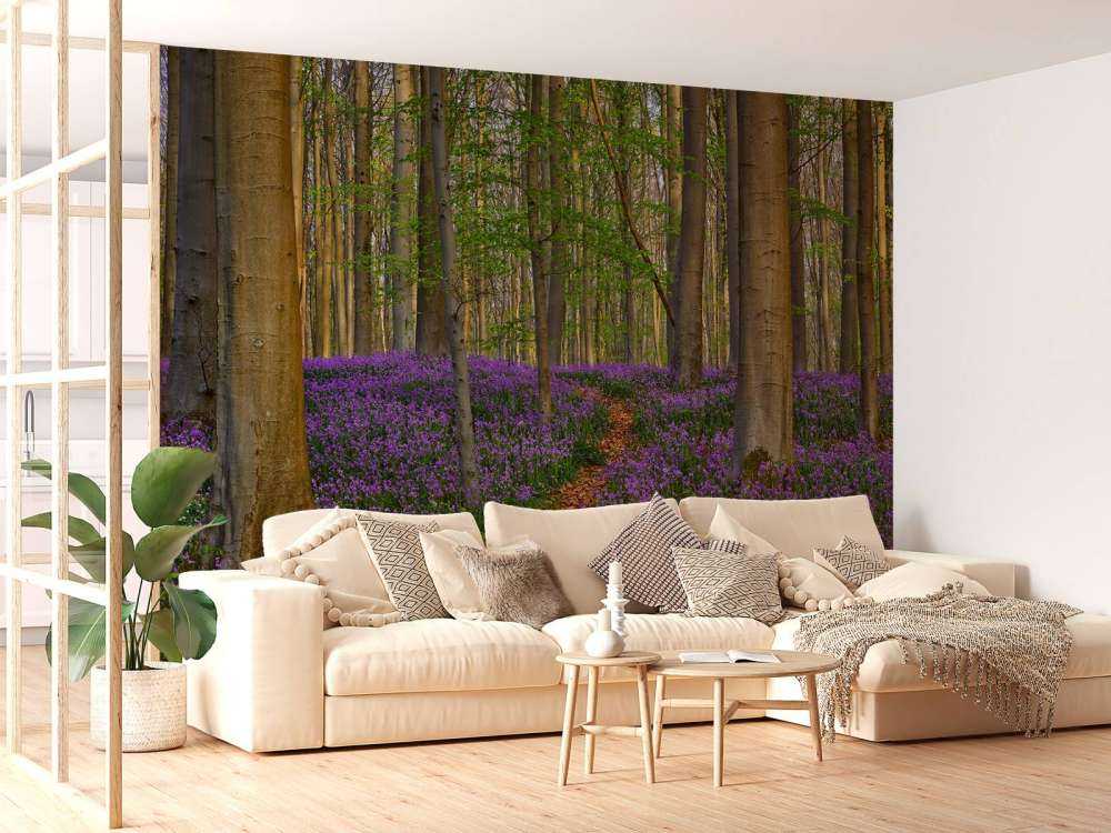 Ładna ścieżka przez las