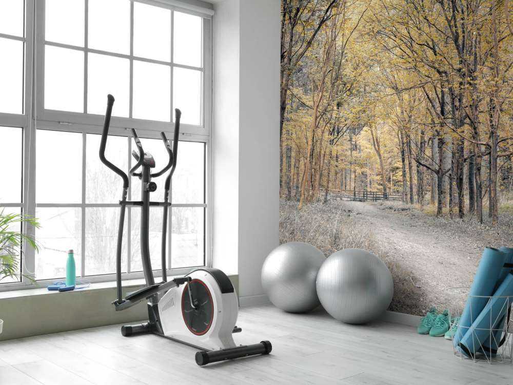 Leśna droga w okresie jesiennym