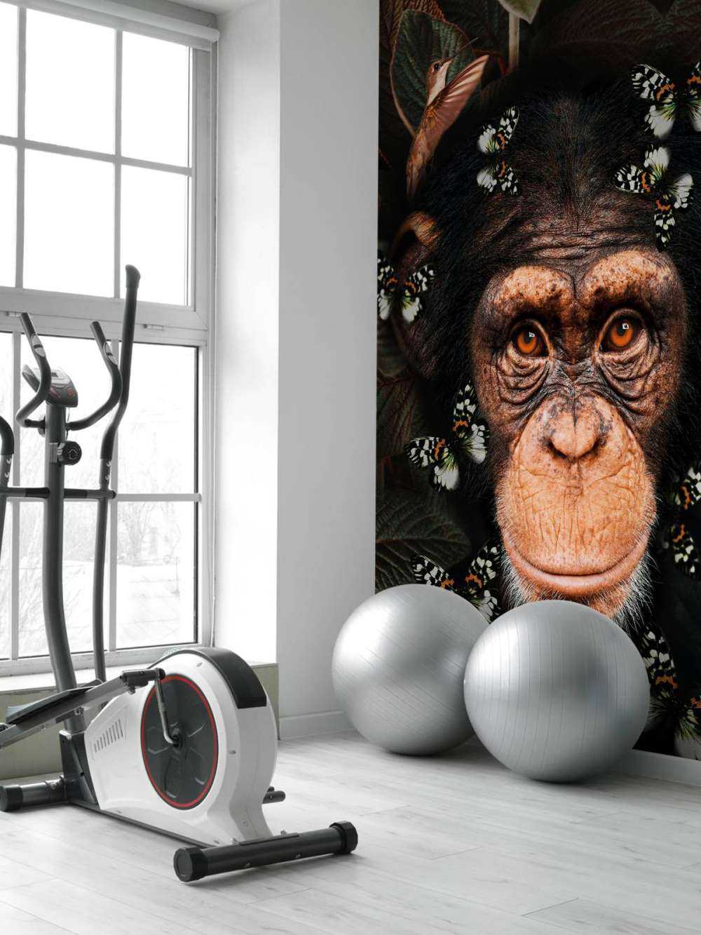 Tropical Chimpanzee Portret