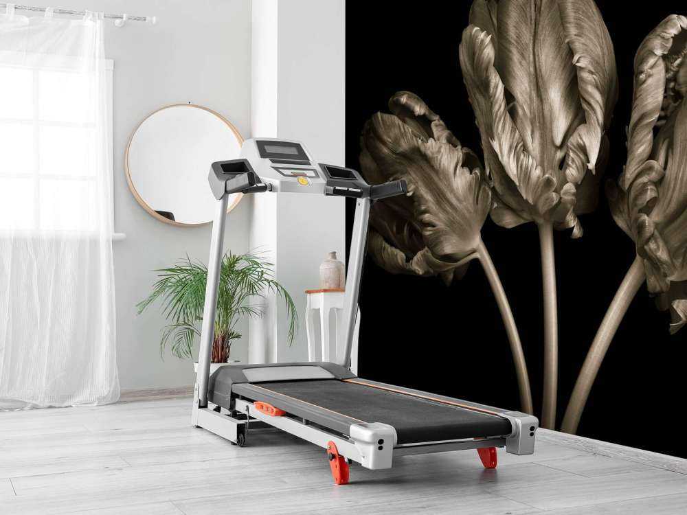 Trzy rokokowe tulipany