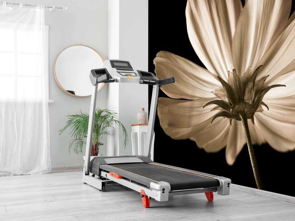 Kwiat kosmosu od dołu