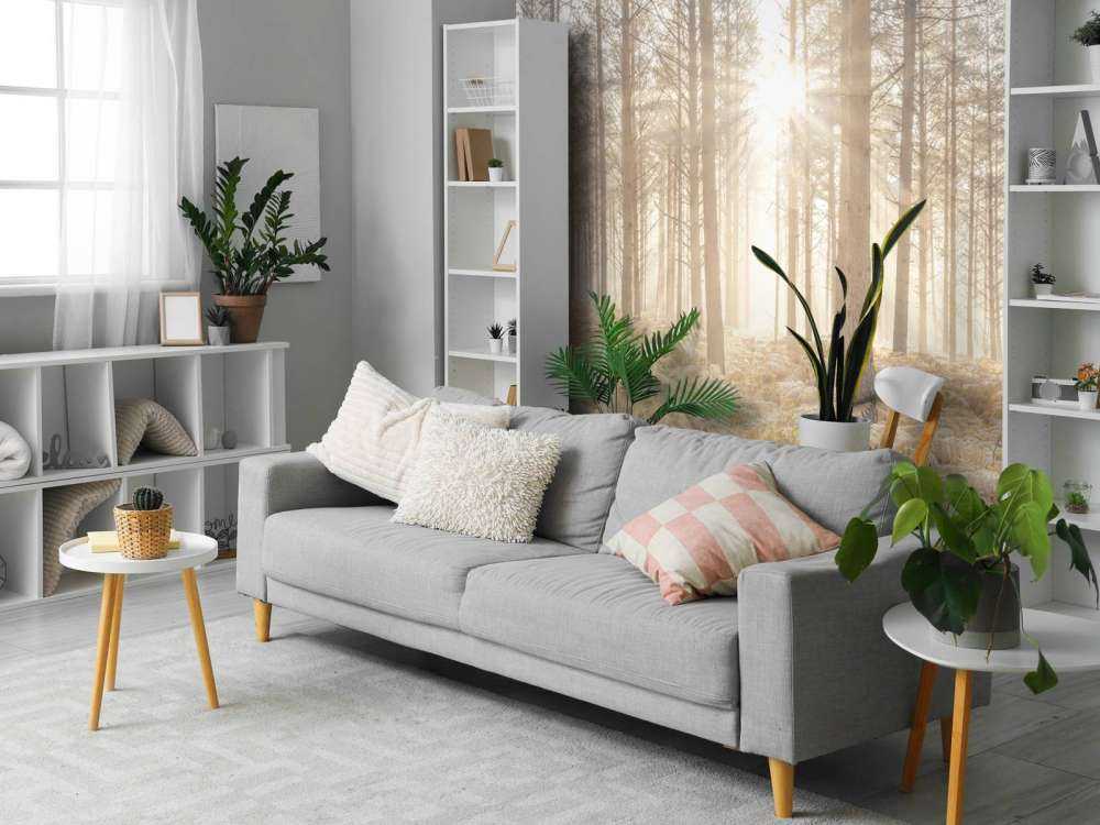 Promienie słońca w zimnym lesie