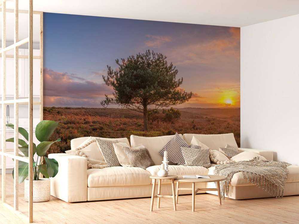 Zachód słońca w opuszczonej okolicy