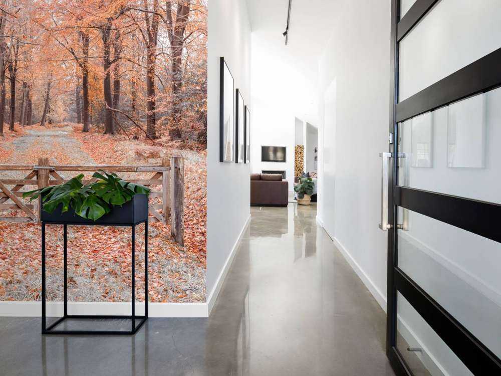 Przejście do jesiennego lasu