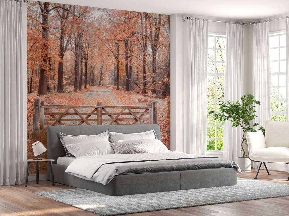 Przejście do jesiennego lasu