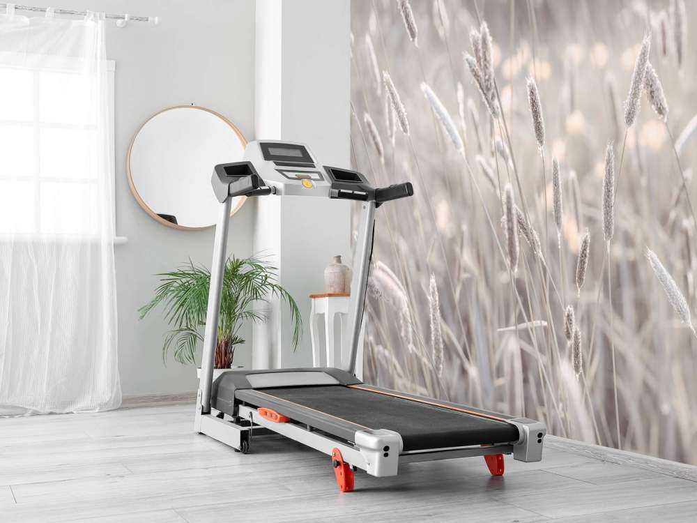 Zbliżenie na łąkę