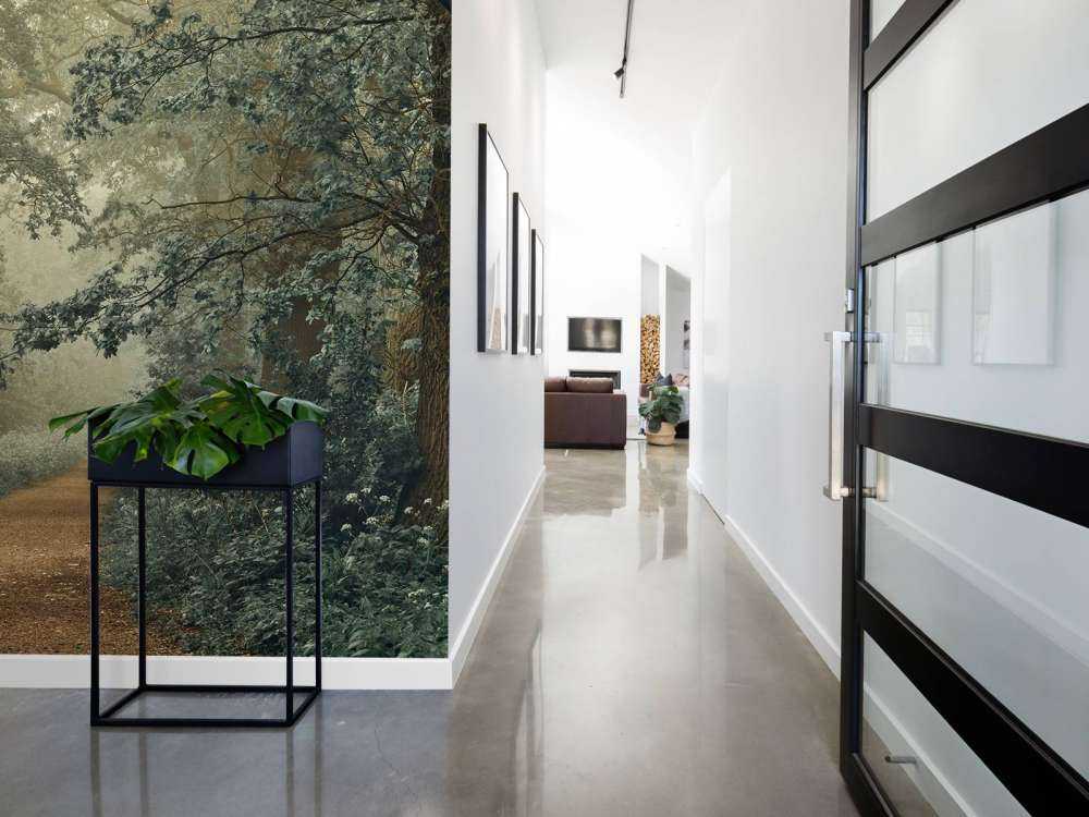 Ścieżka przez las z mgłą