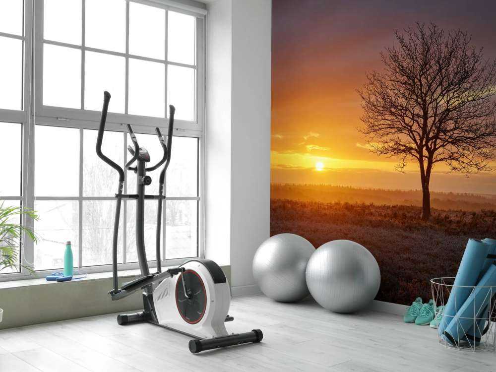 Kolorowy wschód słońca na wrzosowisku