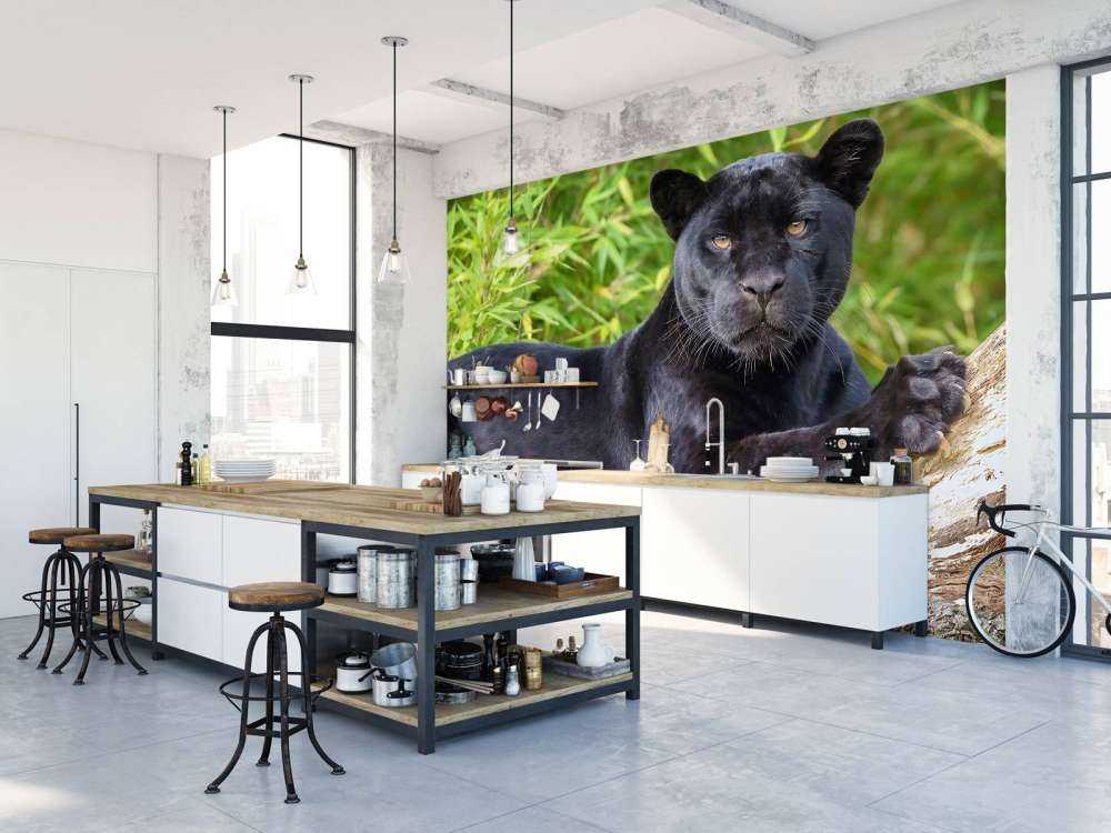 Czarna pantera na drzewie