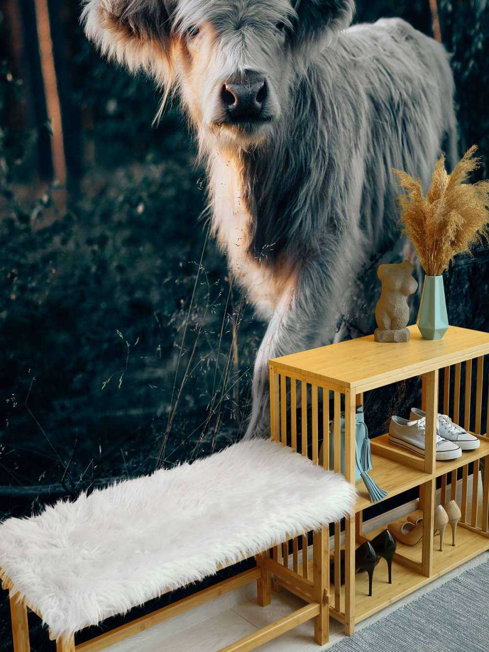 Góral szkocki młode