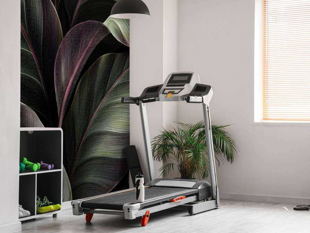 Liście z ciemnym tłem