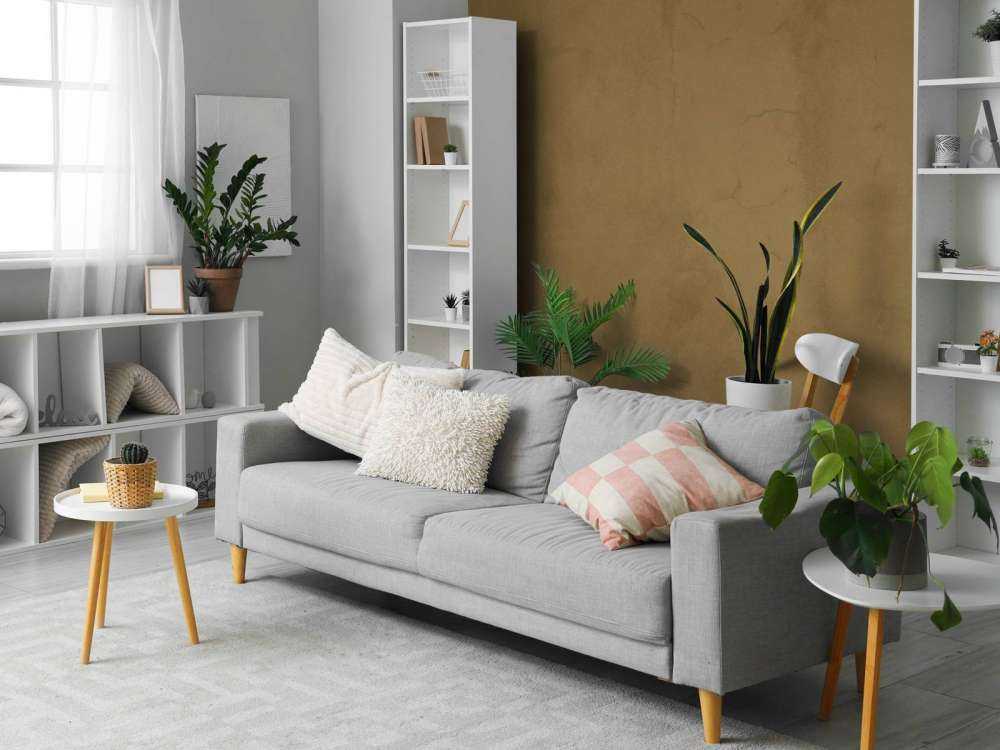 Beton brązowy jak u kojota