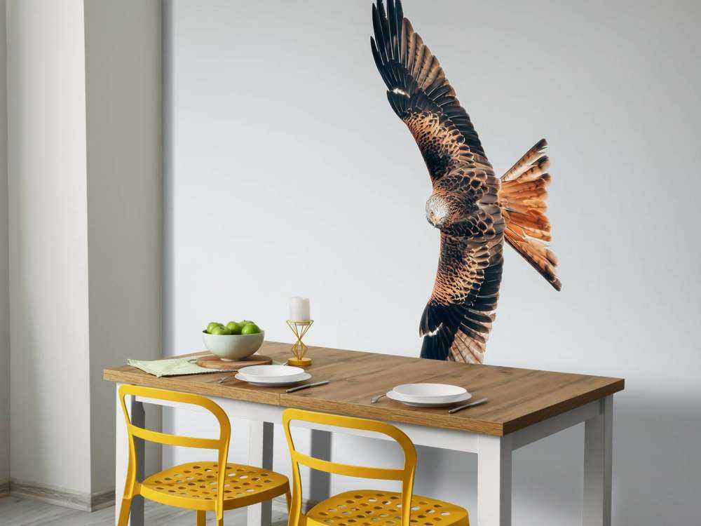 Czerwony latawiec z rozpostartymi skrzydłami