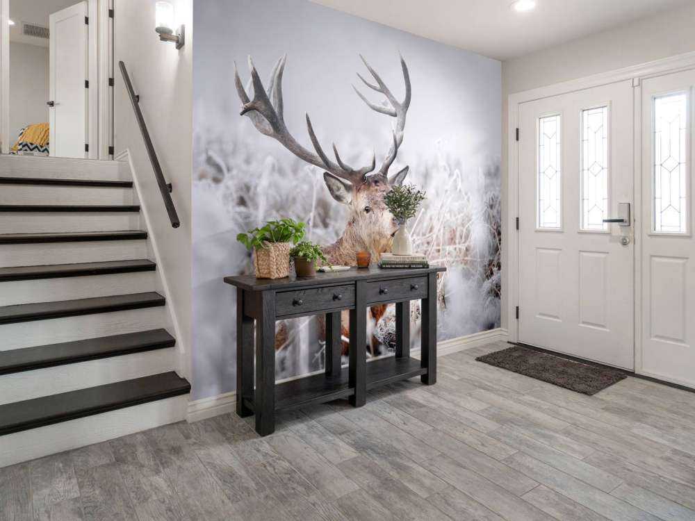 Zimowy sen jelenia szlachetnego