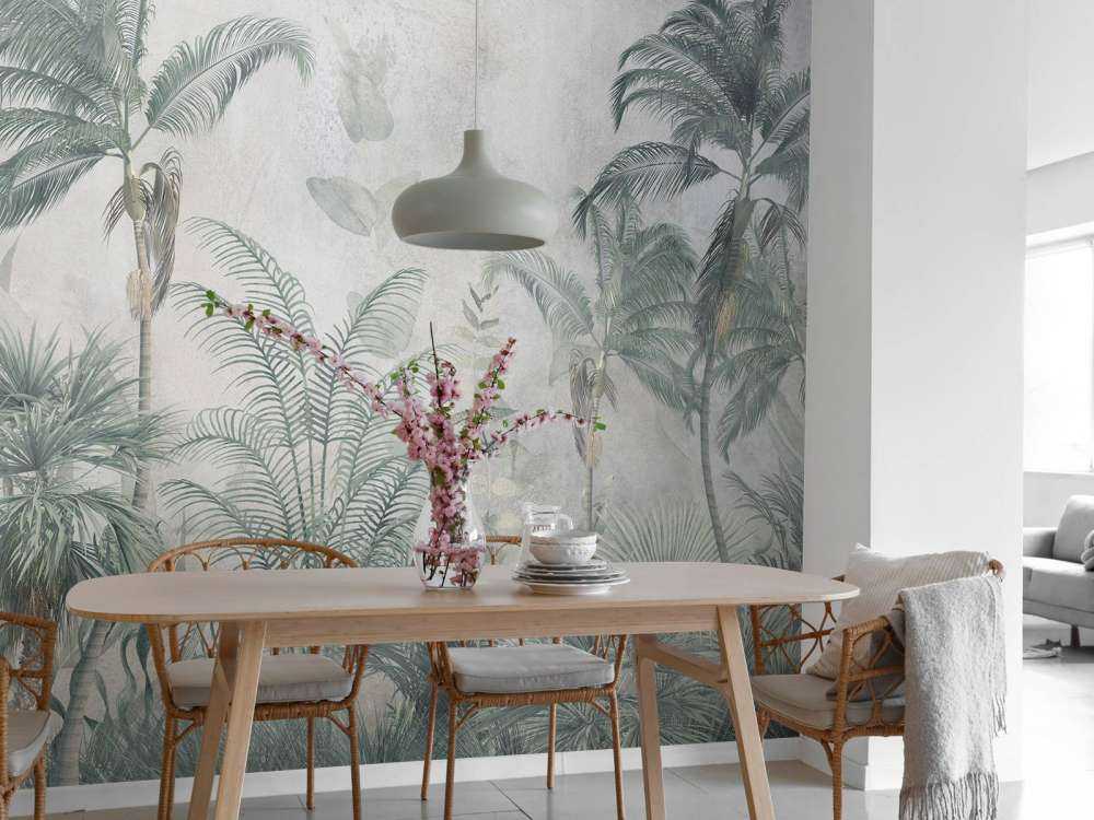 Mgliste Tropikalne Raj