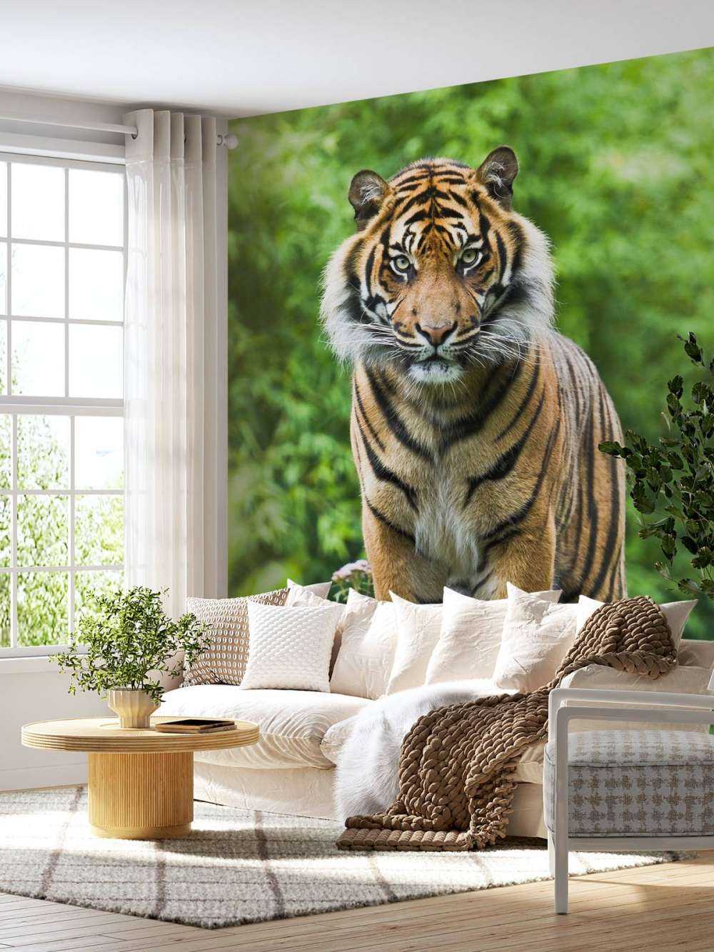 Tygrys stojący na kamieniu