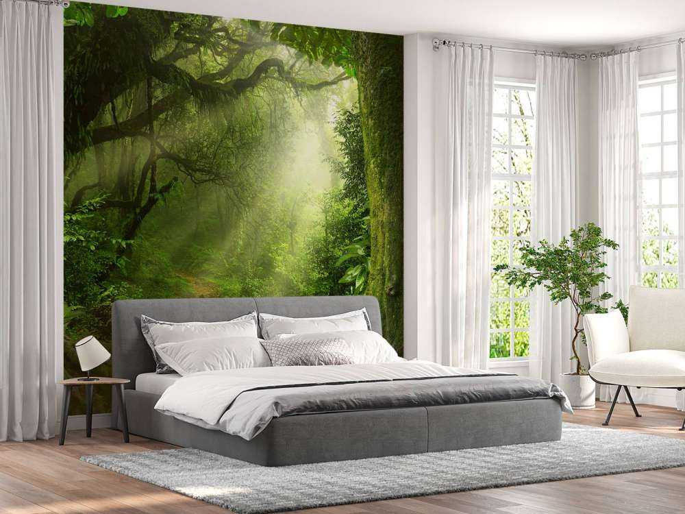 Dżungla z promieniami słońca