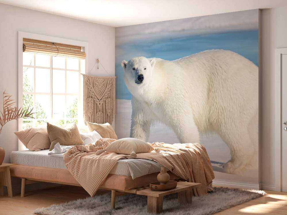 Niedźwiedź polarny