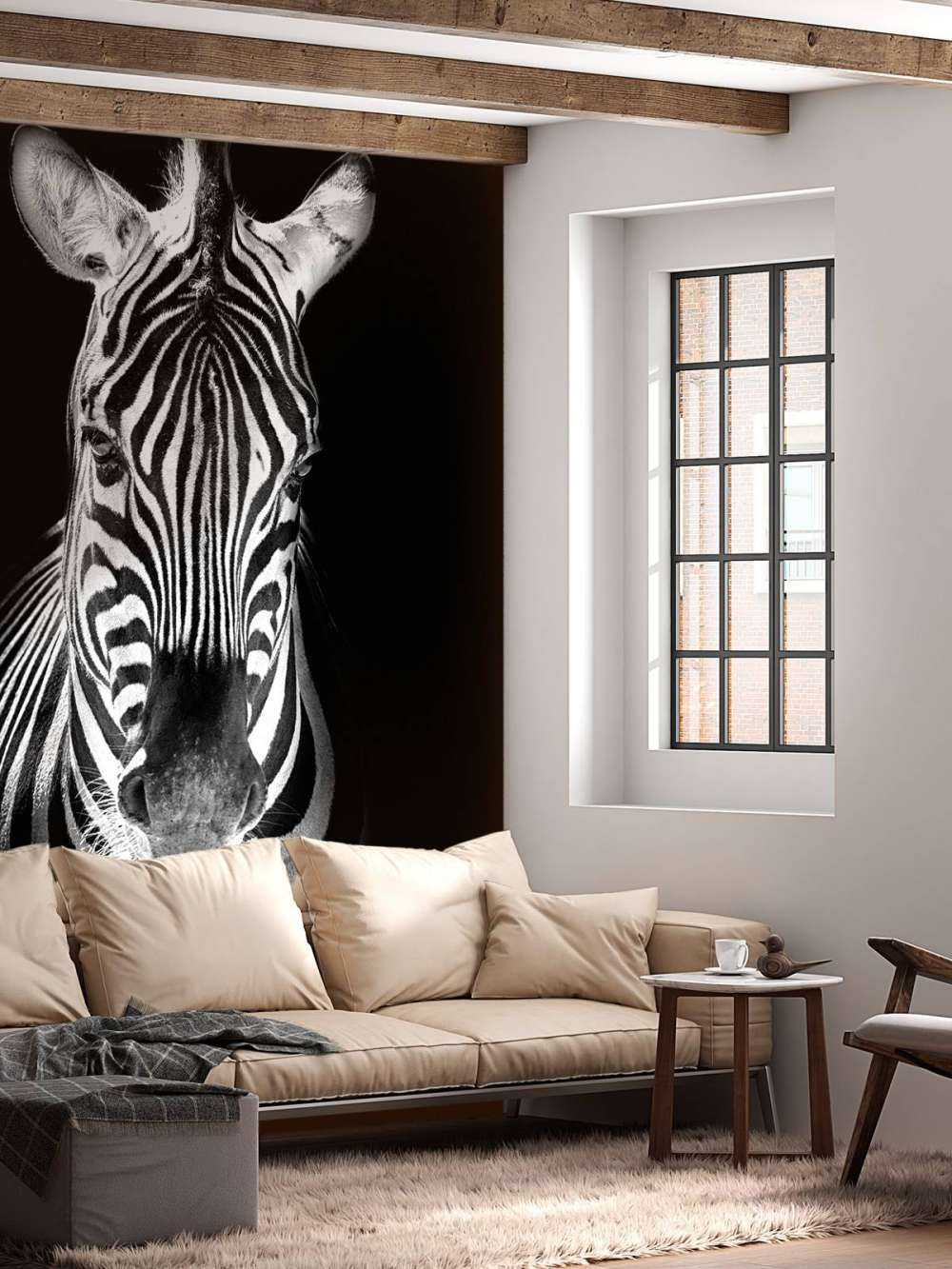 Zbliżenie na zebrę czarno-białą