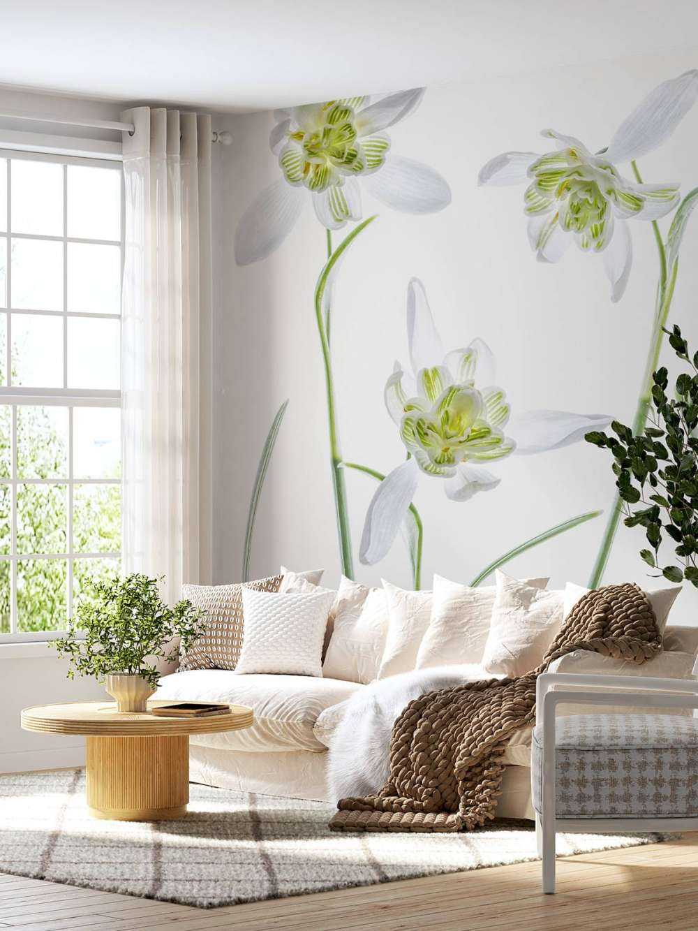 Galanthus Flore Pleno