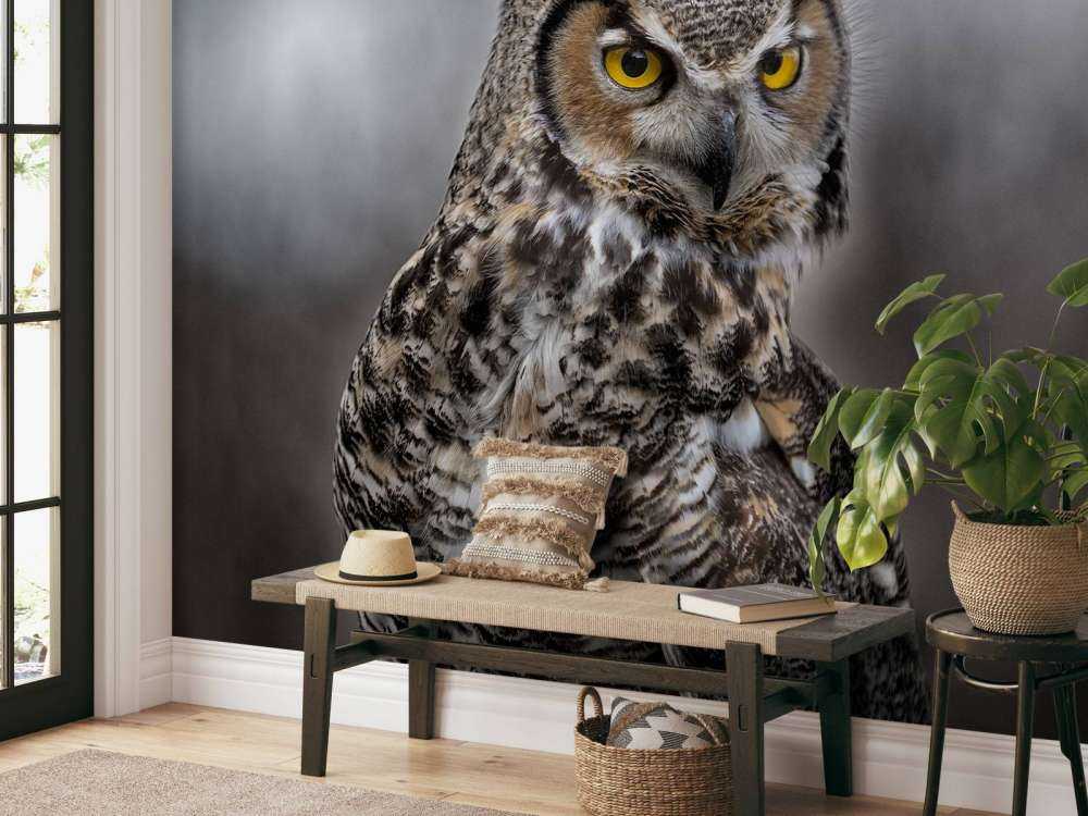 Sowa z brązowymi piórami