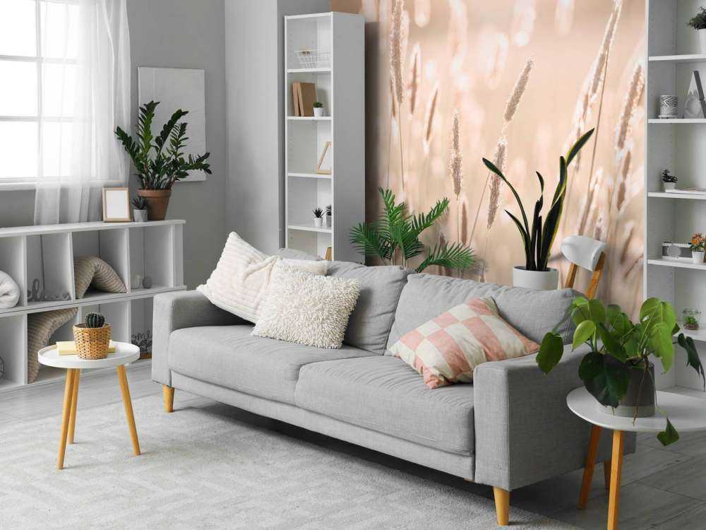 Światło słoneczne przez łąkę