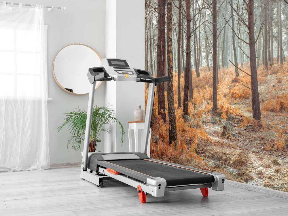 Las w okresie jesiennym