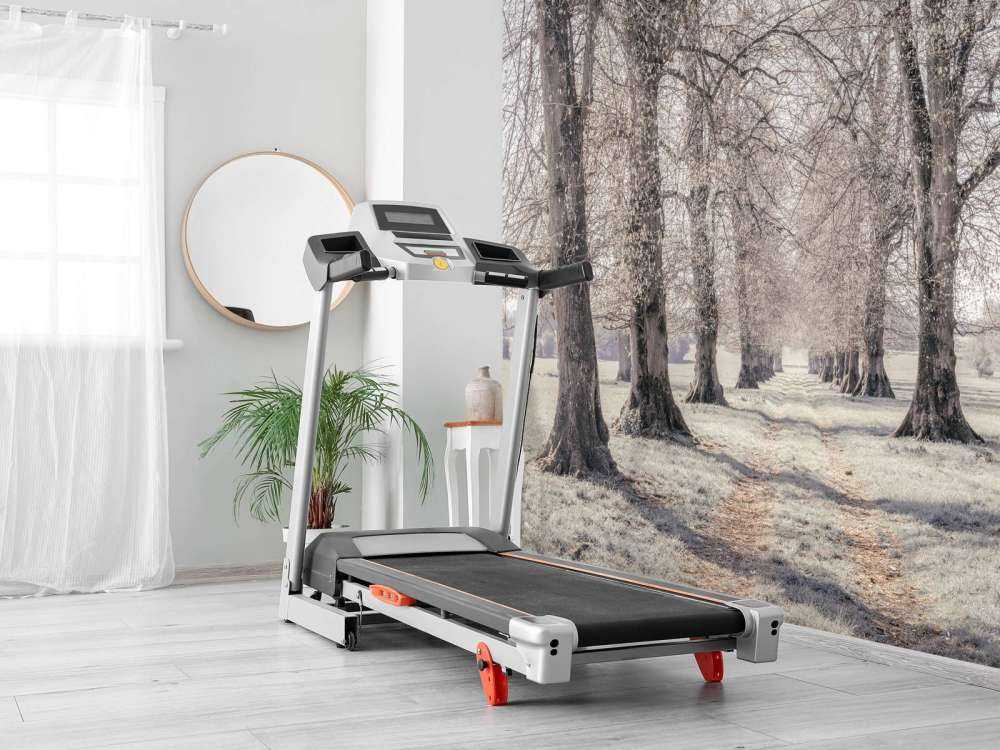 Ślady opon między drzewami