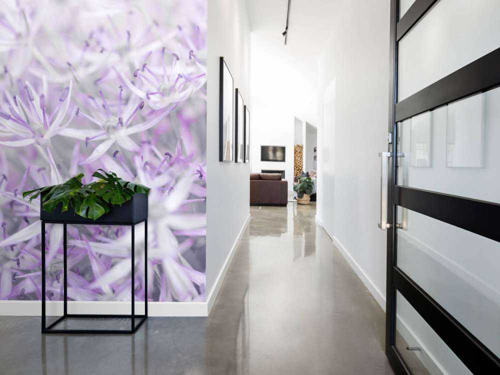 Kwiaty Allium w zbliżeniu