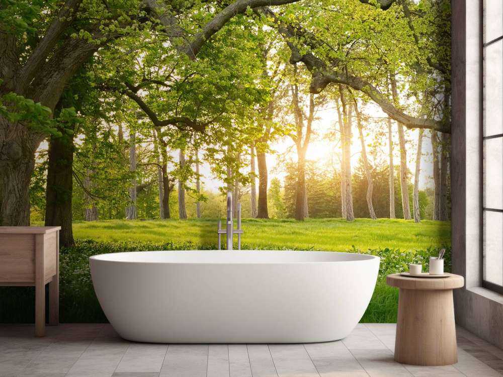 Otwarta przestrzeń w lesie