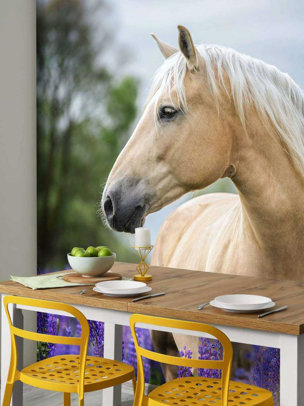 Koń między lawendą