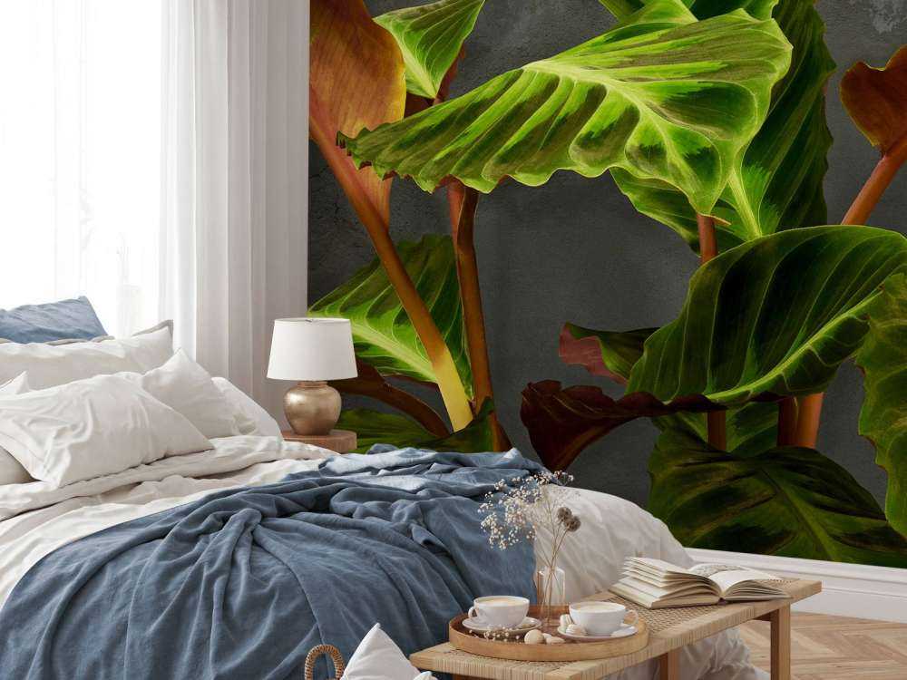 Roślina z pięknymi zielonymi liśćmi