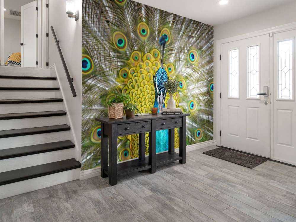 Widok z przodu pawia