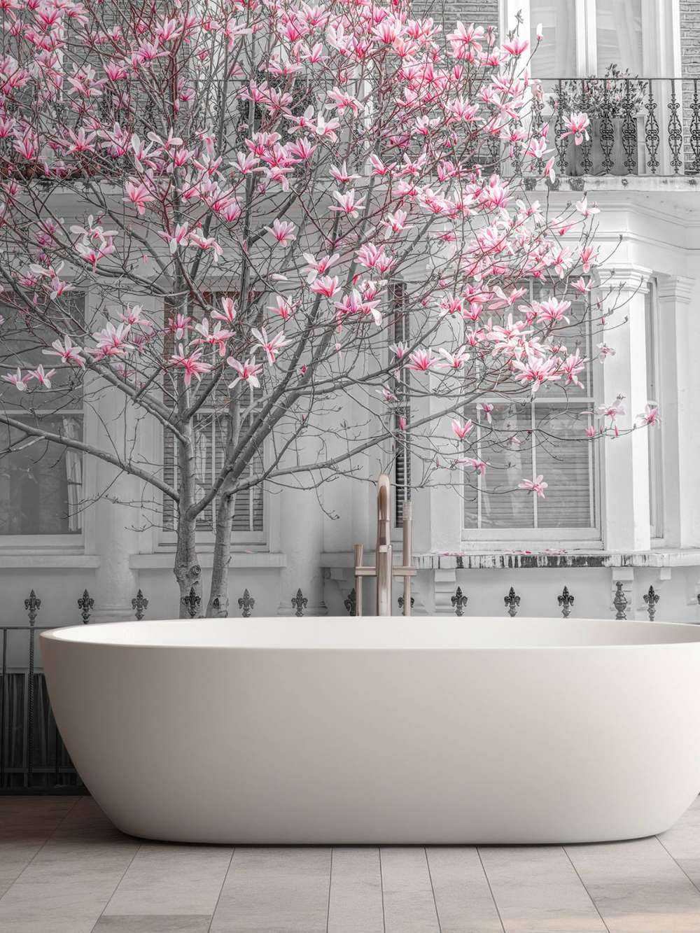 Kwitnące drzewo magnolii