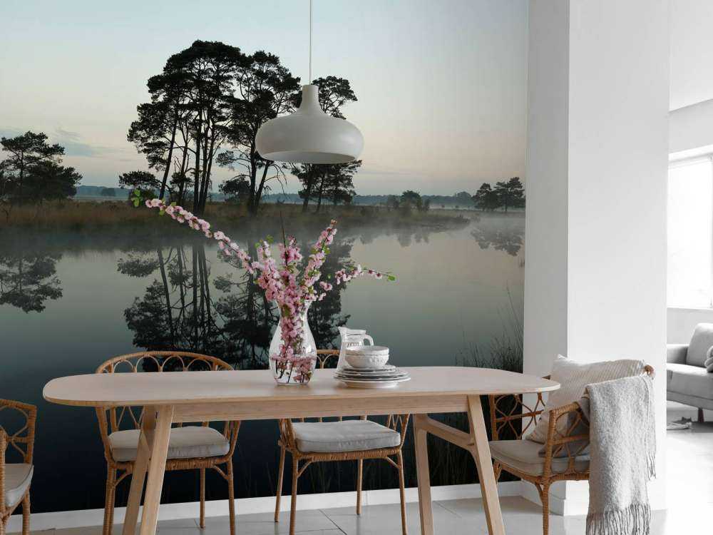 Drzewa wzdłuż lasów