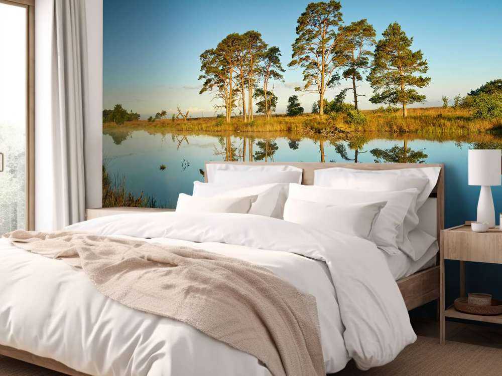 Odbicie w jeziorze leśnym