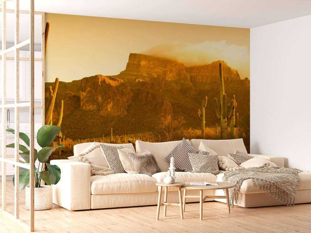 Pustynia z kaktusami