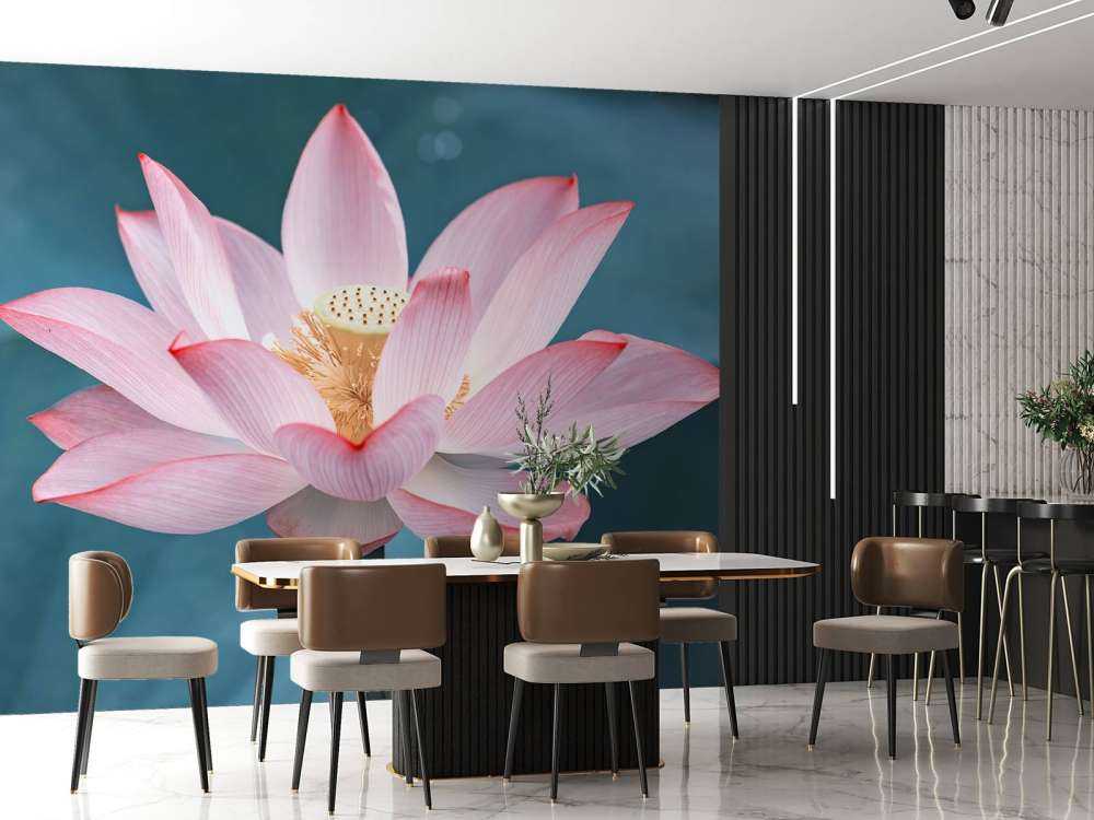 Kwiat lotosu w zbliżeniu