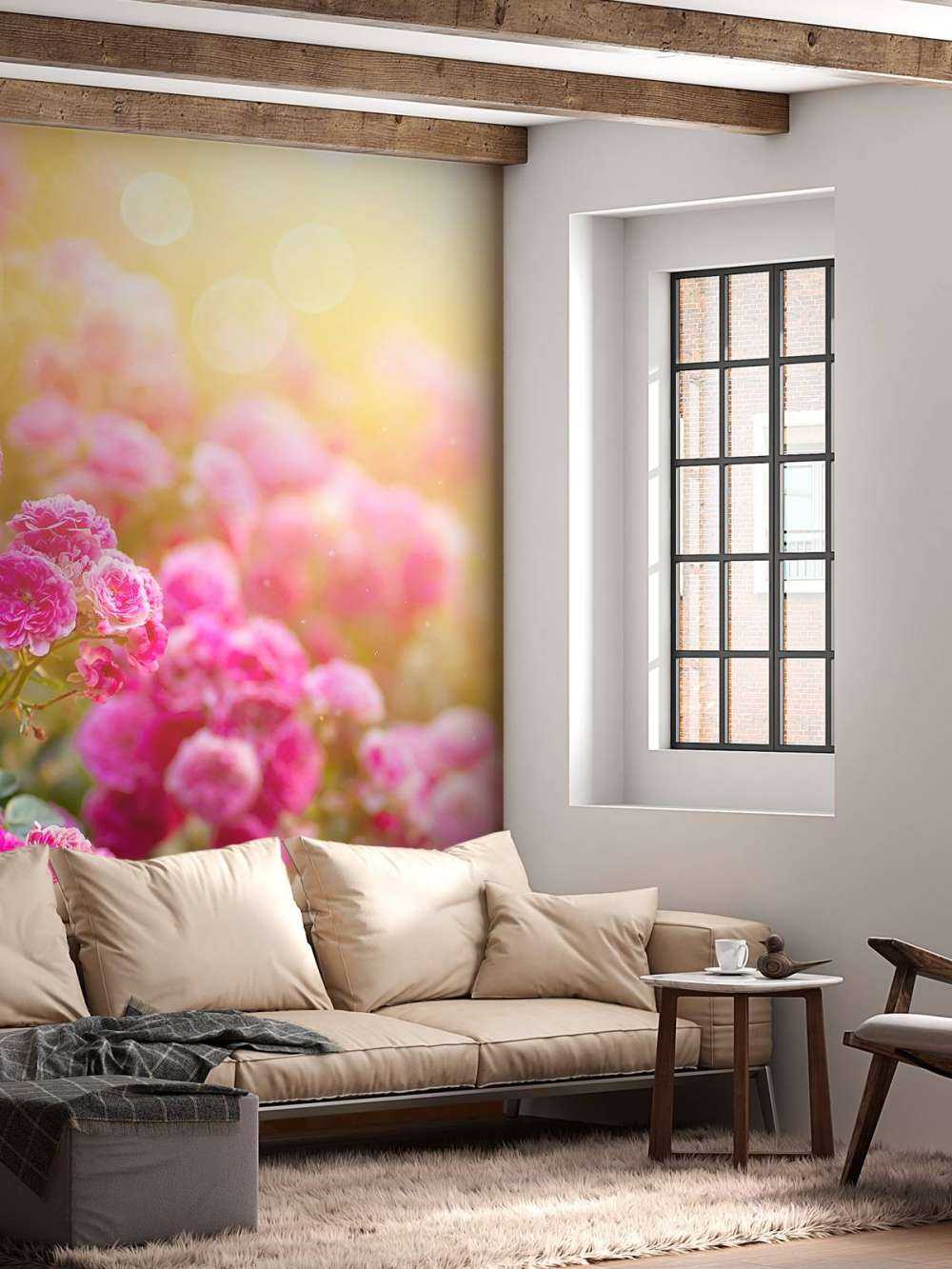 Różowe krzewy róży