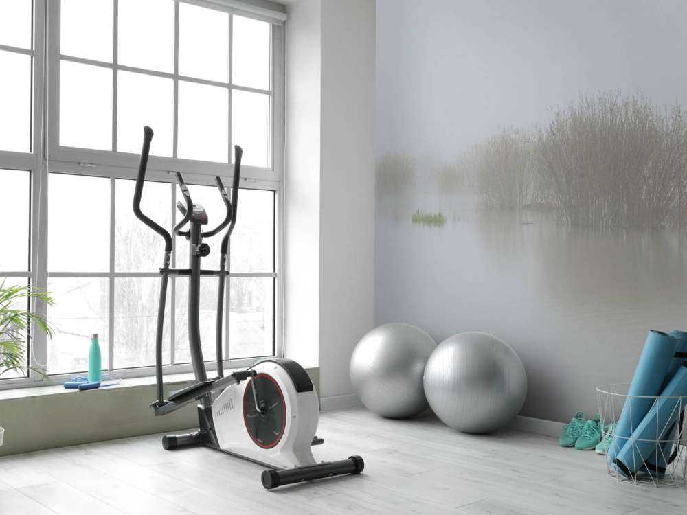 Mgła w rezerwacie przyrody