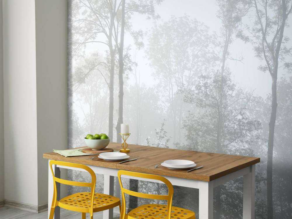 Gęsta mgła w lesie