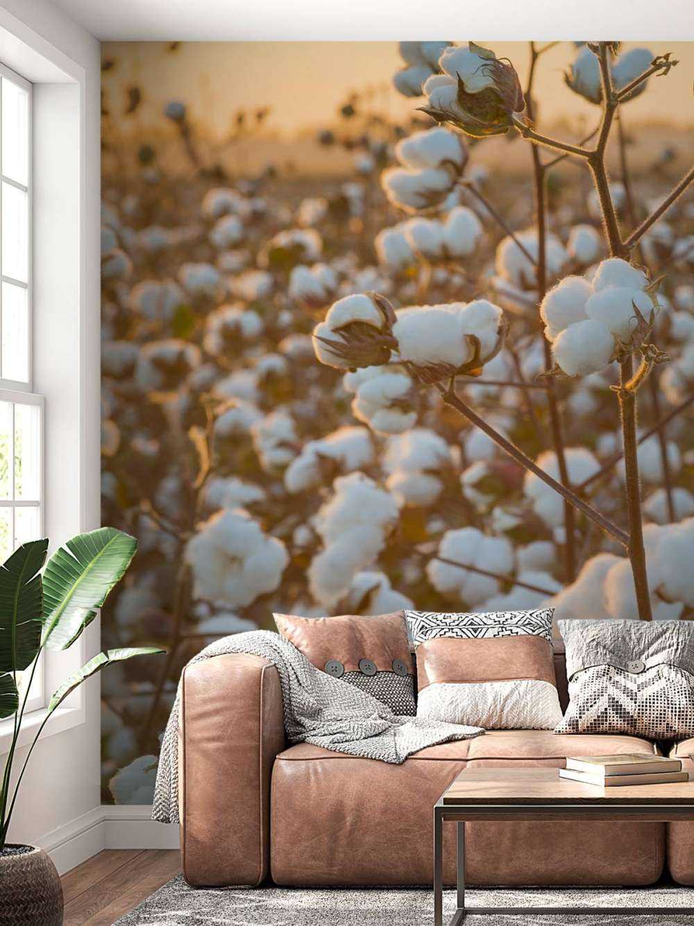 Bawełna Indyjska nad złotożółtym niebem