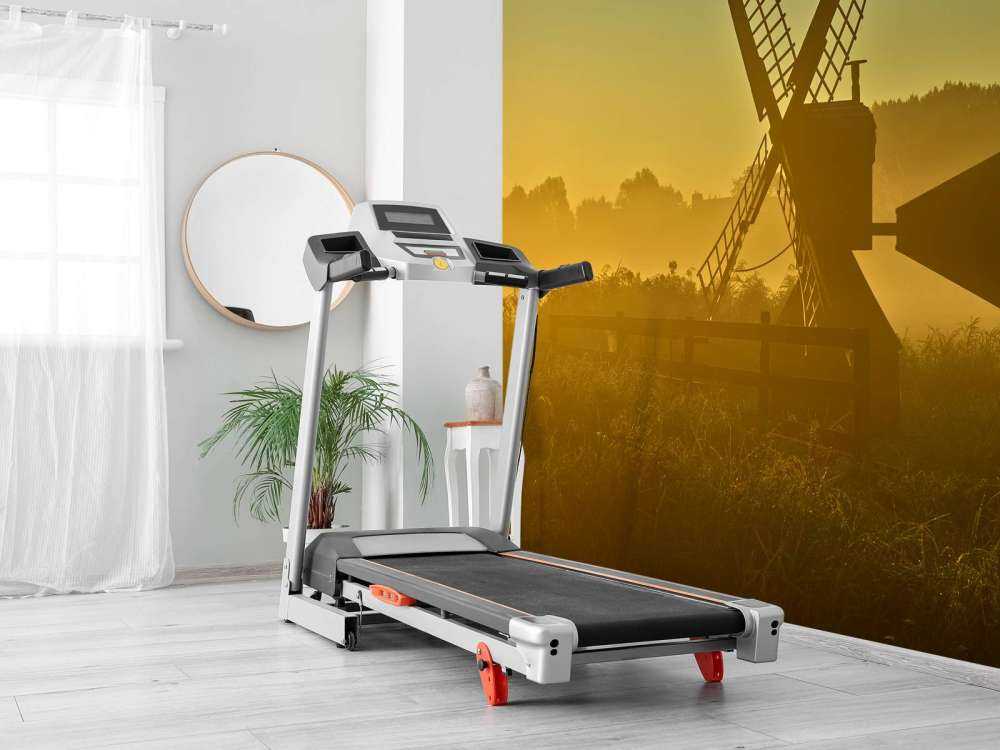 Młyn łąkowy o wschodzie słońca