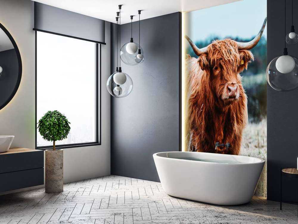 Szkocki wyżyn w lesie