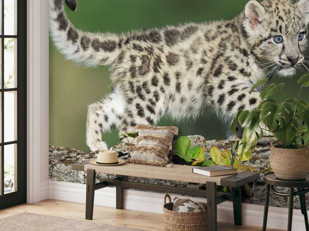 Młode pantery śnieżnej