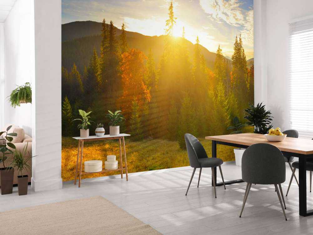 Panorama lasu sosnowego