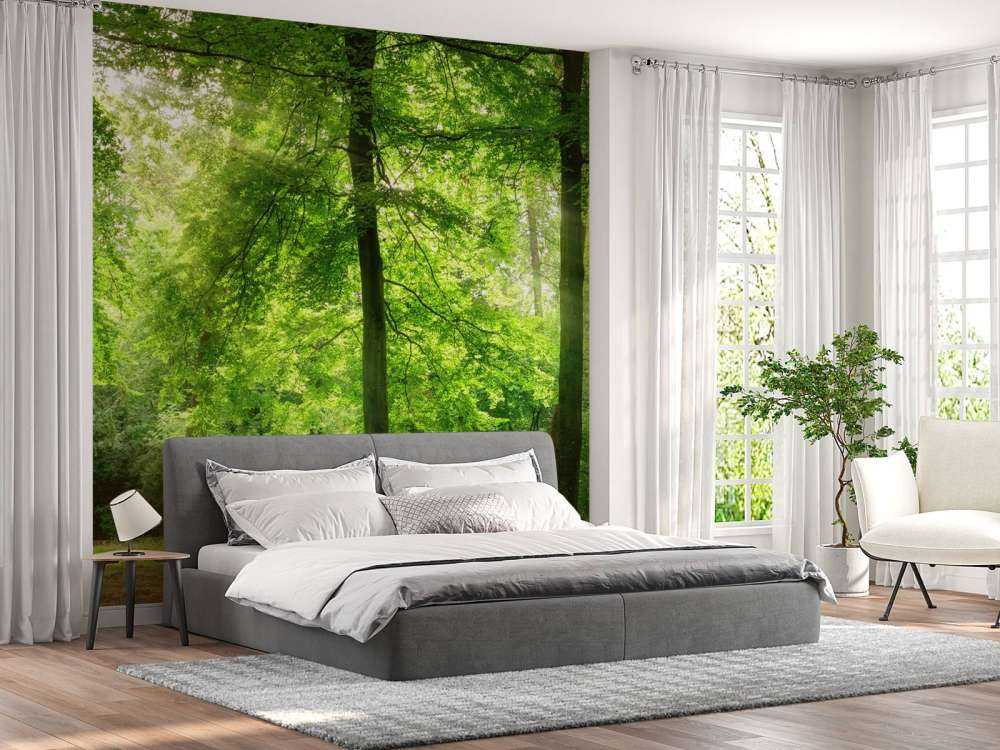 Las z lekką mgiełką